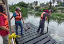 Gobierno Municipal de Tampico instala asoleaderos para cocodrilos en la Laguna del Carpintero