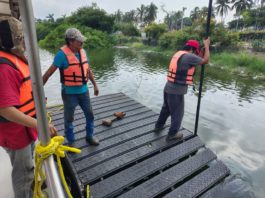 Gobierno Municipal de Tampico instala asoleaderos para cocodrilos en la Laguna del Carpintero