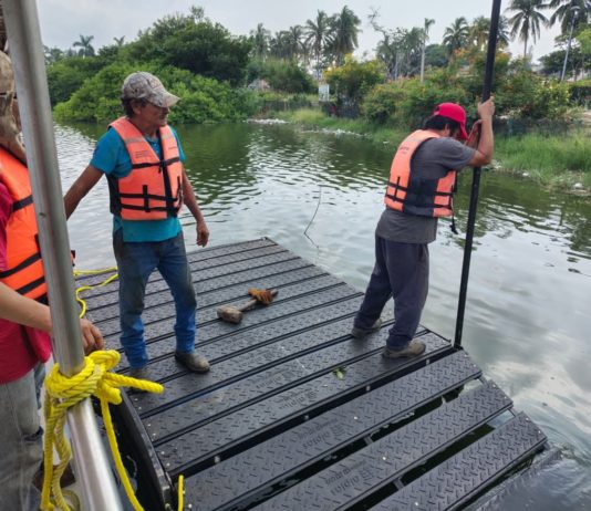 Gobierno Municipal de Tampico instala asoleaderos para cocodrilos en la Laguna del Carpintero