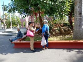 Invitan a hombres y mujeres mexicanas a integrarse a la primera Zona Naval en diversas especialidades