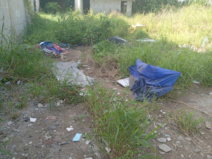 IMG_20251103_144602165_MFNR