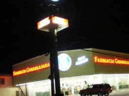 Rateros a “salto de mata” burlan a las autoridades policiales