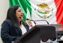 Por ciudades más limpias y ordenadas, se impulsa la Ley de Publicidad Exterior : Lucero Deosdady