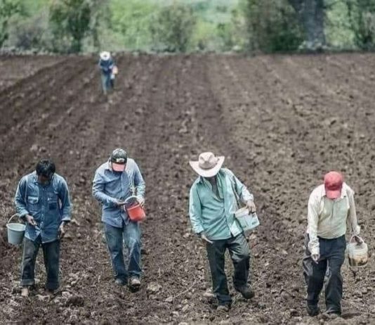 “Nos van a matar de hambre”, acusa líder campesino a Conagua