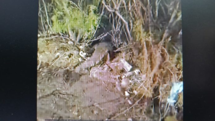 73e0e32c-272e-47d1-a2e0-28d628a883f5