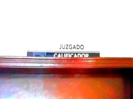 Arrestan a agresiva mujer por molestar a su exmarido