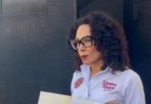 Atropellamiento de perro en Ciudad Madero desata llamado a reforzar sanciones y denuncias por maltrato animal