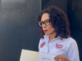 Atropellamiento de perro en Ciudad Madero desata llamado a reforzar sanciones y denuncias por maltrato animal