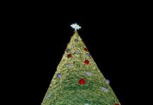 Desea Mónica Villarreal una Navidad de esperanza y armonía a las familias Tampiqueñas