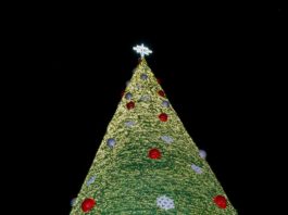 Desea Mónica Villarreal una Navidad de esperanza y armonía a las familias Tampiqueñas