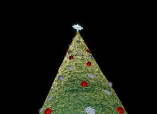 Desea Mónica Villarreal una Navidad de esperanza y armonía a las familias Tampiqueñas