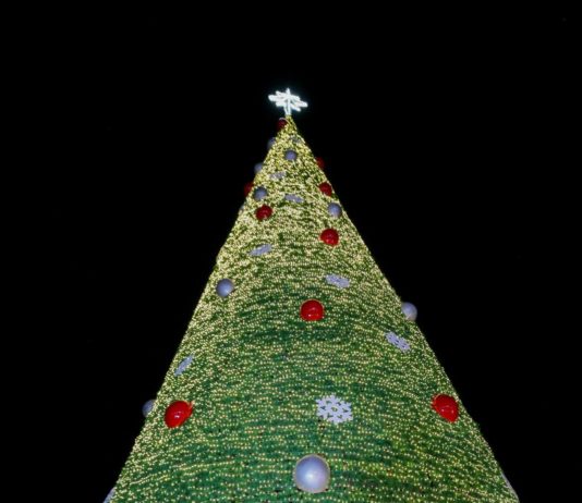 Desea Mónica Villarreal una Navidad de esperanza y armonía a las familias Tampiqueñas