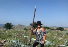 Tamaulipas es cuna de los mejores tequilas del mundo; 11 municipios lo producen