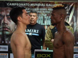 ¡Va por la corona! Chapulín Salas busca el título en Peso Gallo ante Landile Ngxeke