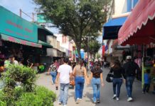 Indica pronóstico regional temperatura fresca para la semana