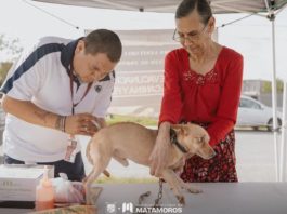 Fortalecen acciones de salud pública y bienestar animal