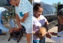 Realizará SST e IMSS Bienestar campaña masiva de vacunación antirrábica