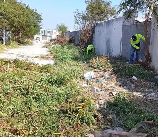 Promueve Gobierno de Reynosa entornos limpios para las familias