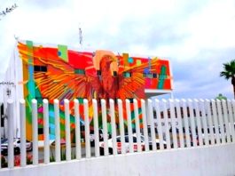 Arrestan a sujeto por molestar a su familia y alterar el orden público