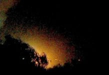 Bomberos atienden llamado de incendio en pastizal dejando daños