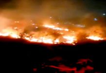 Bomberos atienden llamado de incendio en predio de gran extensión