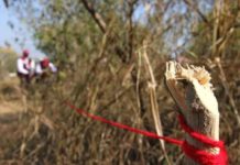 SEDUMA asegura aplicar acciones para frenar venta de terrenos irregulares