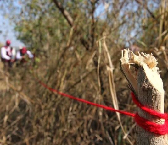 SEDUMA asegura aplicar acciones para frenar venta de terrenos irregulares
