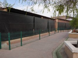 Refuerzan medidas de protección en zoológico durante la temporada invernal