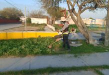 Continúa sin interrupción limpieza y mantenimiento en Reynosa