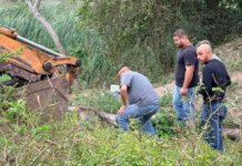 Exhortan a no dejar equinos cerca de lagunas en Ciudad Madero tras reciente incidente