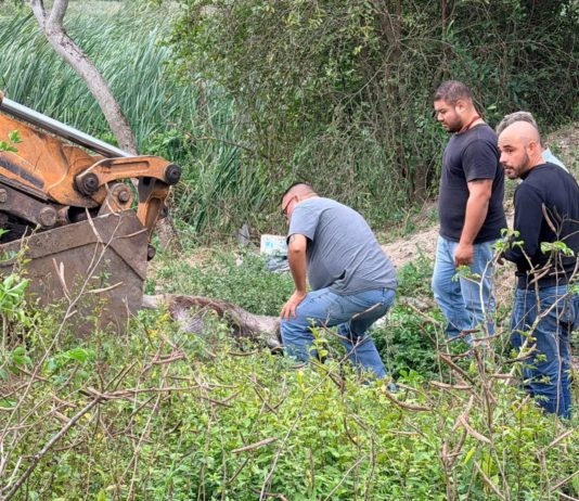 Exhortan a no dejar equinos cerca de lagunas en Ciudad Madero tras reciente incidente