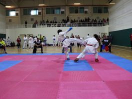 Se realizó con éxito Torneo Municipal de Karate