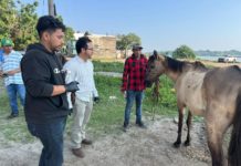 Mónica Villarreal Anaya refuerza acciones de salud animal en Tampico