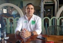 PVEM en espera de la propuesta de la Reforma Electoral