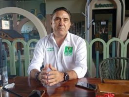 PVEM en espera de la propuesta de la Reforma Electoral