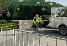 Sin incidentes mayores durante el retiro del pino navideño