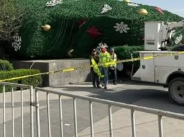 Sin incidentes mayores durante el retiro del pino navideño