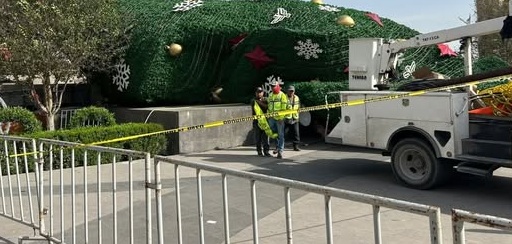 Sin incidentes mayores durante el retiro del pino navideño