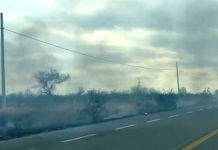 Registran incendio en pastizal a la salida a carretera Monterrey