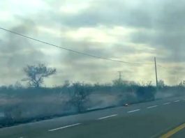 Registran incendio en pastizal a la salida a carretera Monterrey