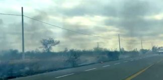 Registran incendio en pastizal a la salida a carretera Monterrey
