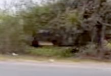 Vuelca unidad en la Ribereña y deja daños materiales