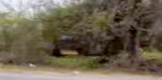 Vuelca unidad en la Ribereña y deja daños materiales