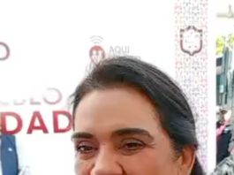 Impulsan protocolo legal para atender a personas con padecimientos mentales