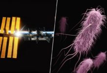 Llevamos años buscando nuevas armas contra las superbacterias. Hemos diseñado una a 400 km de altura