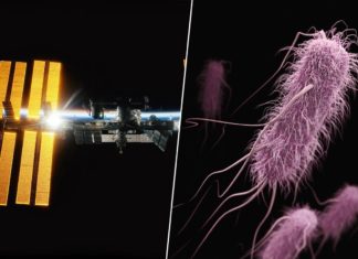 Llevamos años buscando nuevas armas contra las superbacterias. Hemos diseñado una a 400 km de altura
