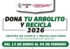Abrirá Gobierno de Reynosa Centros de Acopio y Reciclado de árboles navideños