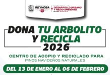Abrirá Gobierno de Reynosa Centros de Acopio y Reciclado de árboles navideños