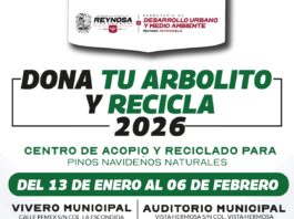 Abrirá Gobierno de Reynosa Centros de Acopio y Reciclado de árboles navideños