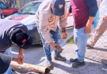 Participó COMAPA en rescate de cachorro en la colonia Bugambilias